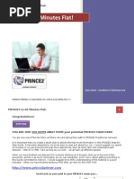 Download Prince2 in 60 Minutes Flat v72 by Reni Dimitrova SN176767444 doc pdf