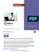 Prince2 in 60 Minutes Flat v7.2