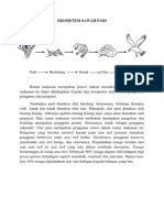 Ekosistem Sawah Padi-Tutorial 5