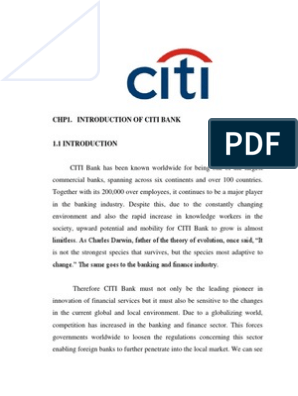 Citi Bank Final Docx Credit Finance Investment Banking