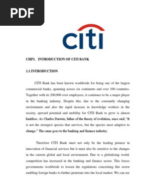 Citi Bank Final Docx Credit Finance Investment Banking