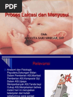 Download Proses Laktasi dan Menyusuippt by tirolyn SN176813294 doc pdf