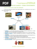 1.1 - Diversidade Dos Animais - Forma e Revestimento - Ficha Informativa