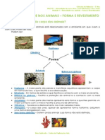 1.1 - Diversidade Dos Animais - Forma e Revestimento - Ficha Informativa