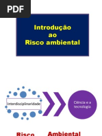 aula 01 - introdução risco ambiental