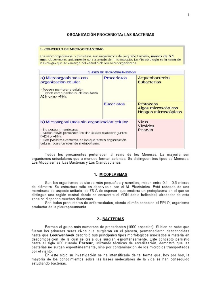 Estructura y Funciones de las Bacterias | PDF