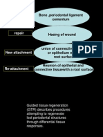 Bone, Periodontal Ligament Cementum: Regeneration