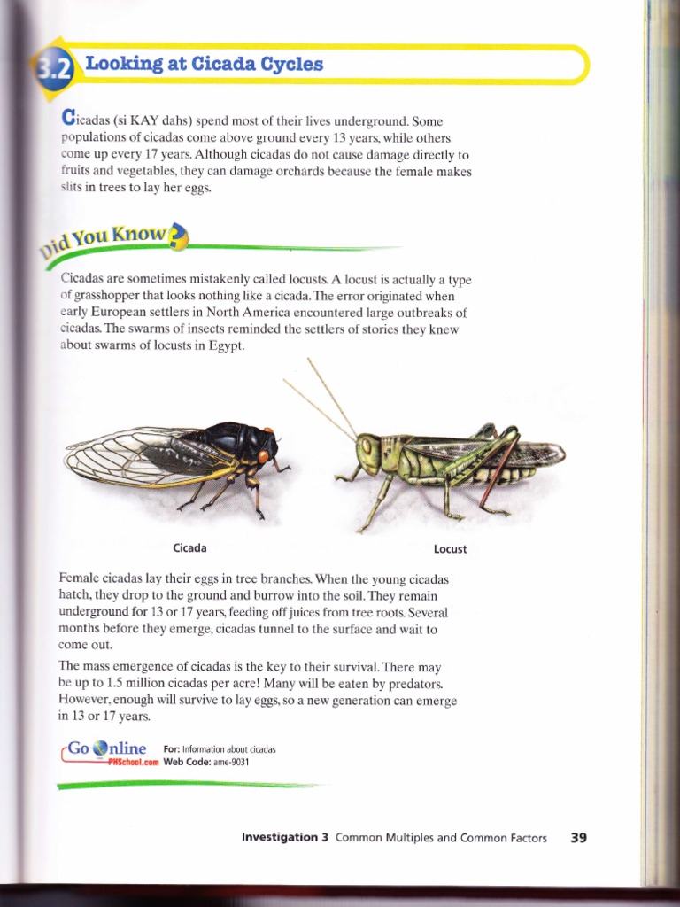 CM2 Prime Time 3.2 Looking at Cicada Cycles | PDF | Hexapoda | Insects
