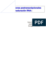 Maduracion RNA