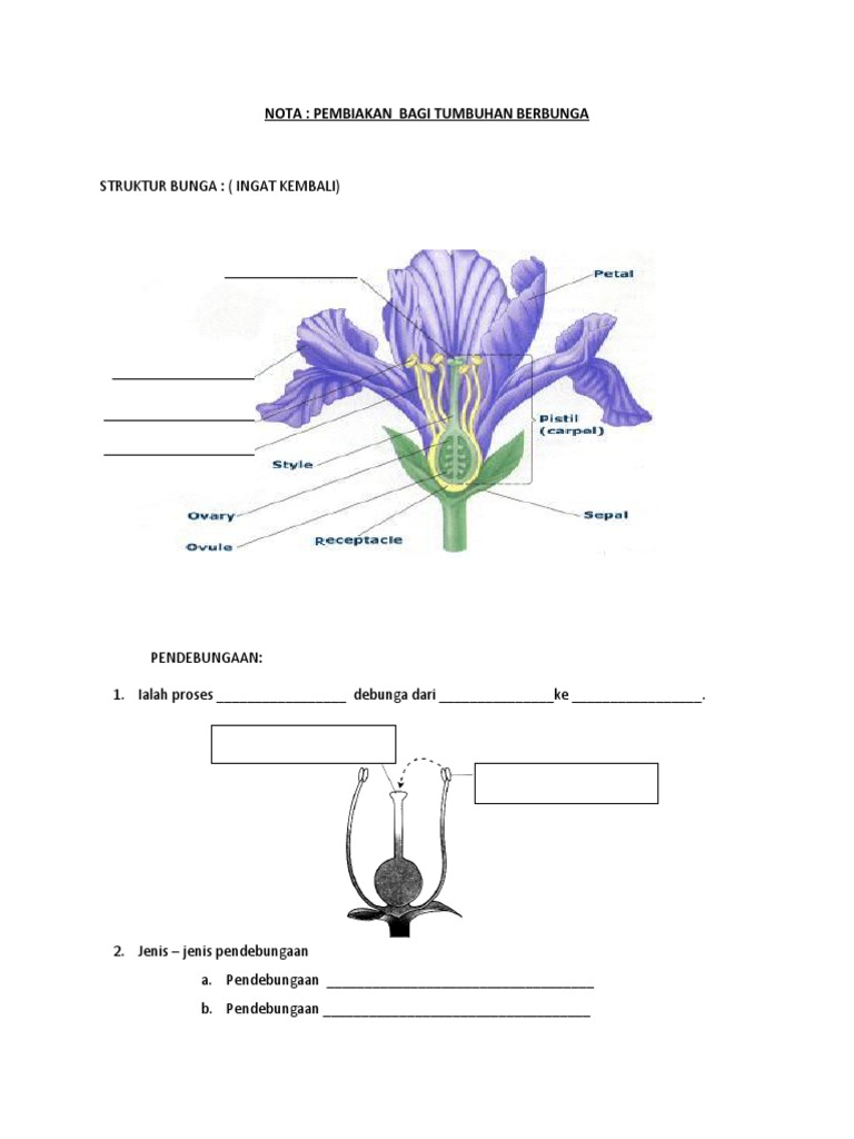 Latihan Sains Pembiakan Tumbuhuhan Berbunga Pdf