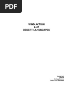 Download Wind Action  Desert Landscapes by sandip patil SN17689 doc pdf