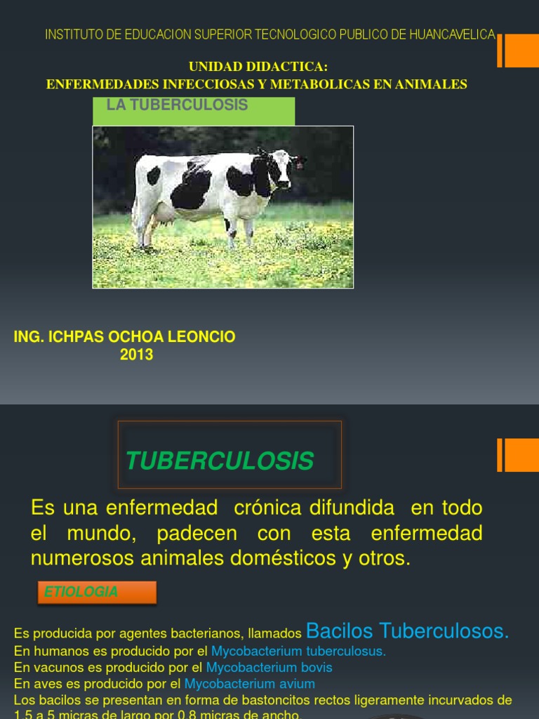 Tuberculosis en Animales: Causas y Tratamiento | PDF