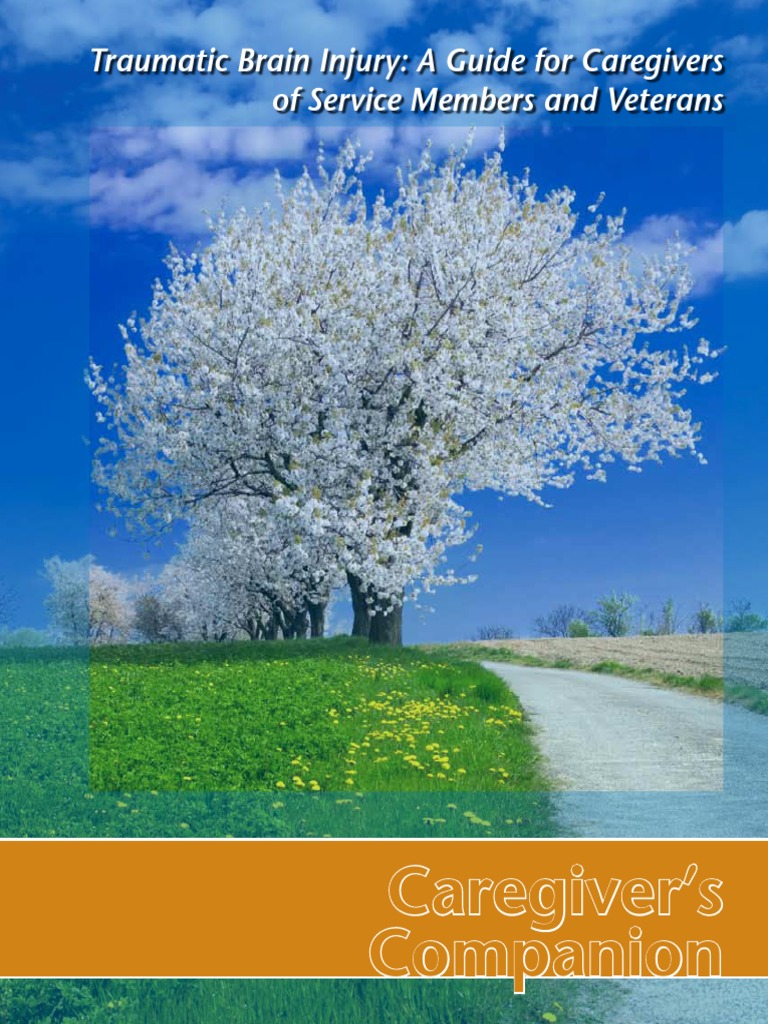 Family Caregiver Guide TBI | PDF | Human Brain | Traumatic Brain Injury