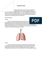 Excretory System: Waste Products Organs Organism