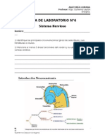 Guía de Laboratorio N°6 - Sistema Nervioso - UISEK