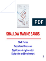 Shelf Facies Sand Ridges Indicate Hydrocarbon Traps