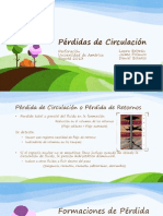 Pérdidas de Circulación