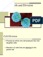 Mitosis