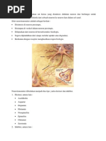 Download Neurotransmiter by Rebeka Costantina Weriditi SN176970827 doc pdf