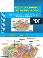 C2.1. MICROORGANISMOS 2013-1