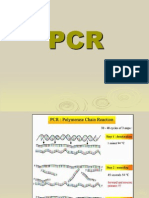 Pcr