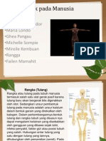 Sistem Gerak Pada Manusia