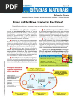 Antibióticos_Bacterianos