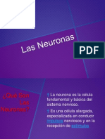 Las Neuronas - Copia