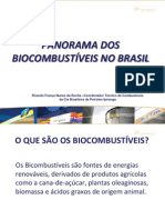 Panorama Dos Biocombustiveis No Brasil