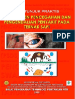 Pengendalian Penyakit Ternak Pada Sapi