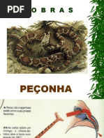 Cobras
