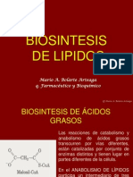 Biosintesisdelipidos 101104061110 Phpapp02