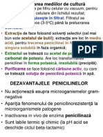 CURS 10 Antibiotice