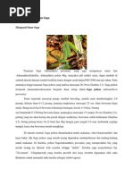 Download Mengenal Tumbuhan Saga by Elsa Syarif SN177126360 doc pdf