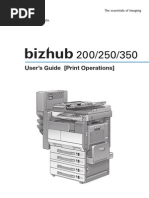 Download Konica Minolta Bizhub-350-250 Um Print 2-0-0 by Orang Indonesia SN177131257 doc pdf