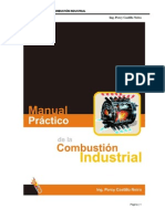 MANUAL_PRACTICO_DE_COMBUSTION_INDUSTRIAL.pdf