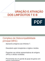 MHC, maturação e ativação dos linfócitos T e B