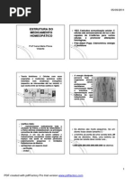 Estrutura Do Medicamento Homeopc3a7tic o Ppt Modo de Compatibilidade