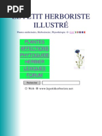 plantes medicinales 1