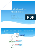 Ciclo de Krebs e Fosforilação Oxidativa