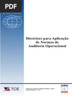 INTOSAI Diretrizes para Aplicação de Normas de Auditoria Operacional