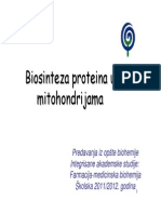 Sinteza Proteina U Mitohondrijama