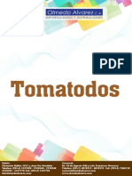 Cat Tomato Dos 2012