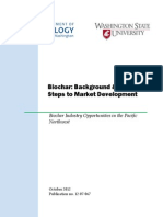 Biochar Backgound and Early Steps to PNW Market Development 10 2012 1207