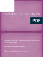 esofagitisporcauticos-130818143445-phpapp01