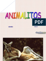 animalitos-Diapositivas