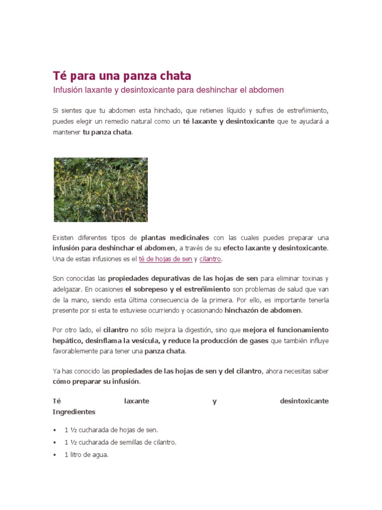 Té de Hojas de Sen para Adelgazar PDF Té Cilantro