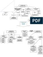 Mapa Conceptua a Riffo