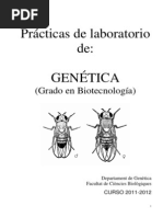 Practicas - Mosca