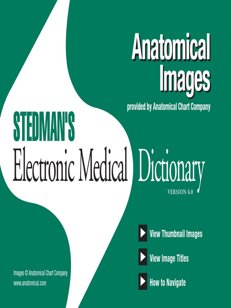 Stedman's Electronic Medical Dictionary 6th Edition Anatomical Terms